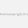 unconjugated Rabbit Anti-human IgG (H+L) secondary antibody